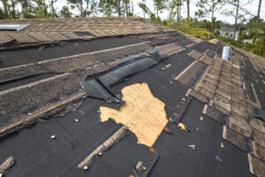 tampa roofing contractor